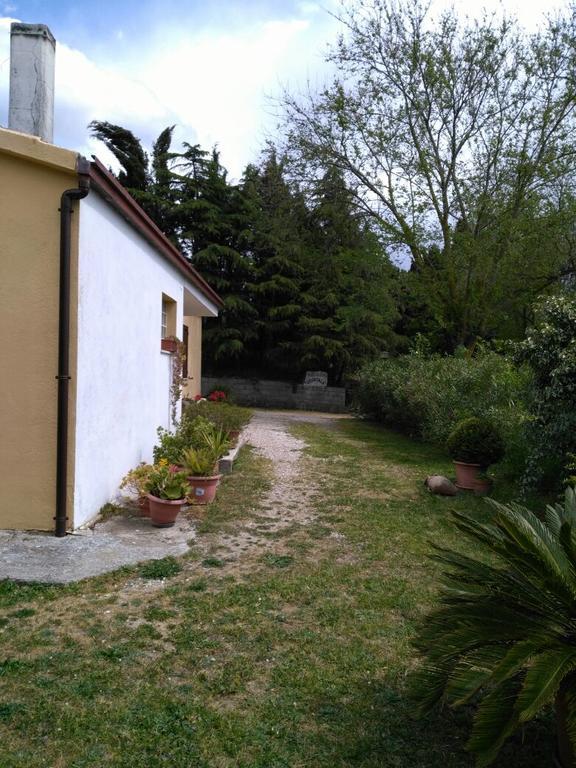 Agriturismo Usurtala Orani Exterior foto